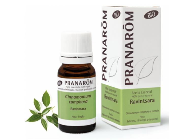 Aceite-Esencial-de-Ravintsara-10ml-Pranarom.jpg Aceite Esencial de Ravintsara 10ml Pranarom