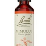 Flores de Bach Mimulus 20ml