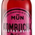 Kombucha frutos rojos 250ml Mun Kombucha