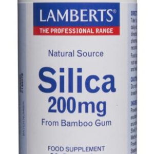 Silicio 90 cápsulas de 200mg Lamberts